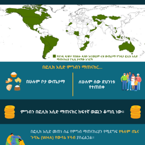 Amharic GAPSBiF Infographic (1).png