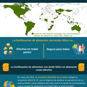 GAPSBiF infographic in SPANISH 12/2023